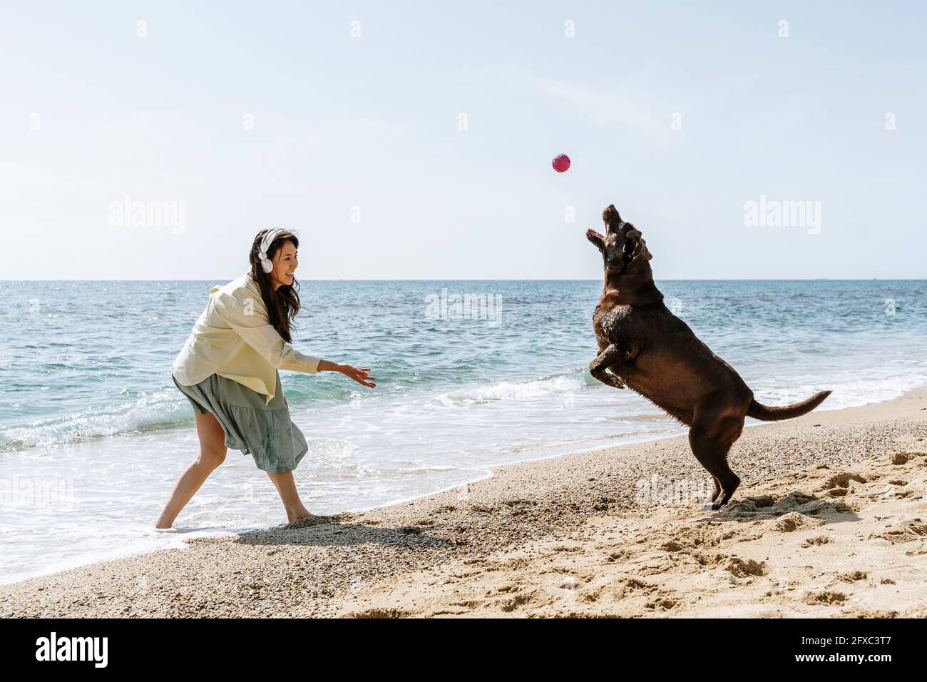 Donna e cane Labrador che giocano con la palla in spiaggia durante il fine settimana Foto Stock