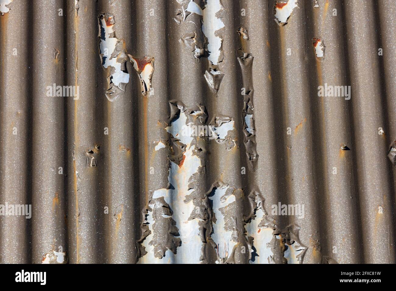Fotografia di vernice marrone che si stacca da un tetto di ferro ondulato a causa dell'esposizione all'ambiente Foto Stock