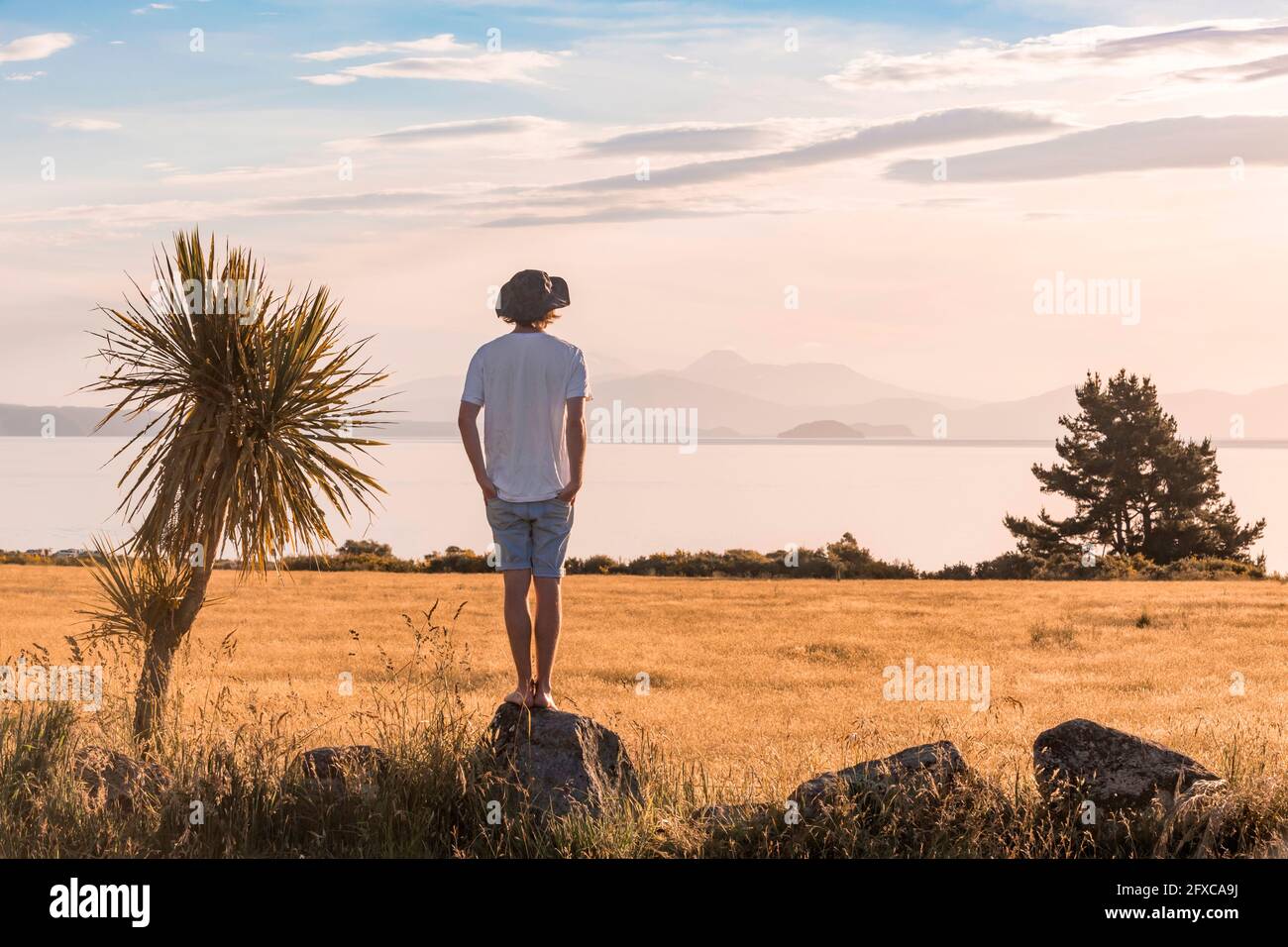 Giovane uomo in piedi sulla cima di un piccolo masso che guarda il paesaggio erboso al tramonto Foto Stock