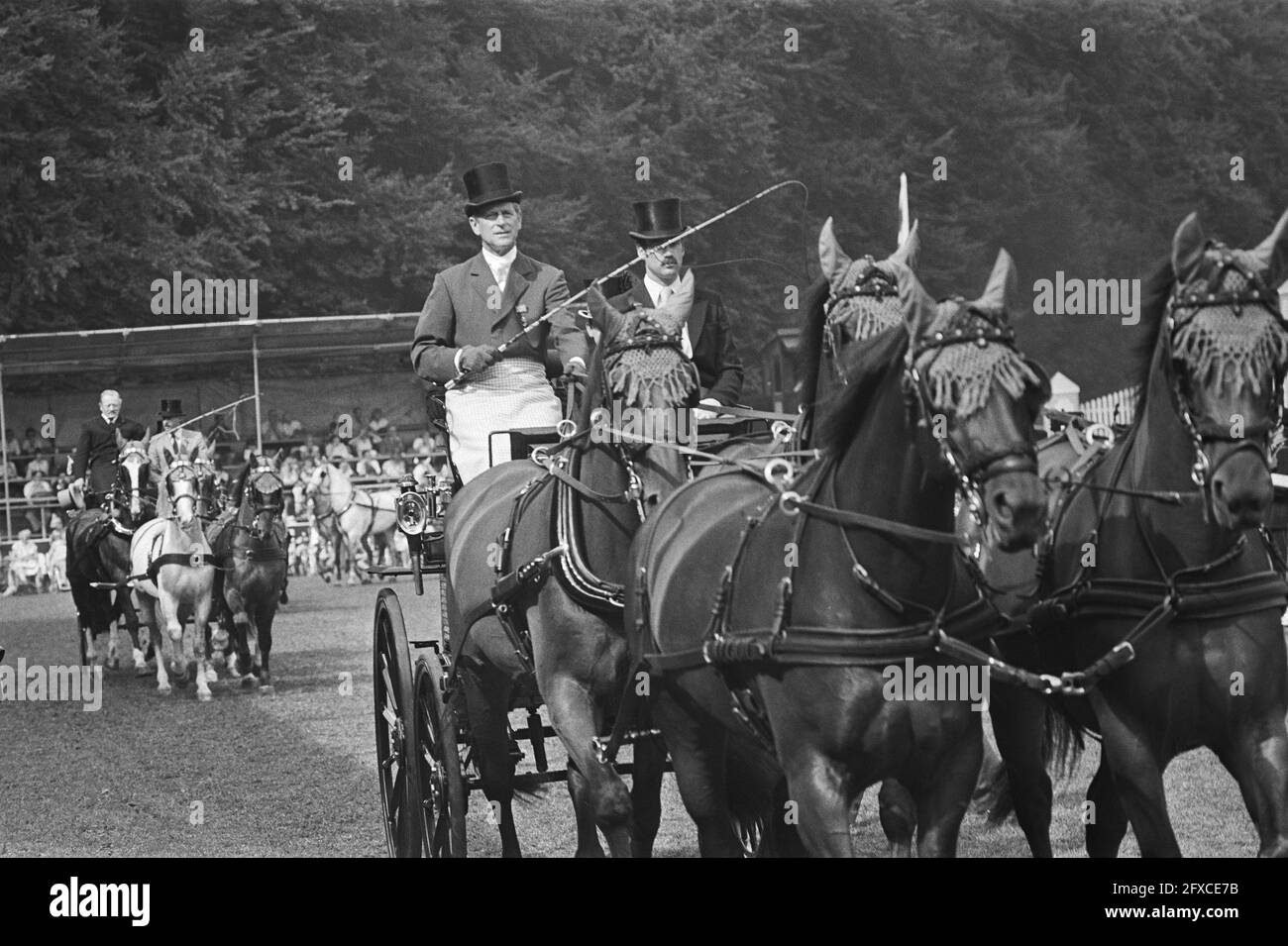 Apertura dei Campionati del mondo quattro squadre di cavalli a Het Loo, Prince Phillip (Inghilterra) in azione con quattro squadre di cavalli, 11 agosto 1982, aperture, VIERSPANNEN, Paesi Bassi, foto agenzia stampa del xx secolo, notizie da ricordare, documentario, fotografia storica 1945-1990, storie visive, Storia umana del XX secolo, che cattura momenti nel tempo Foto Stock