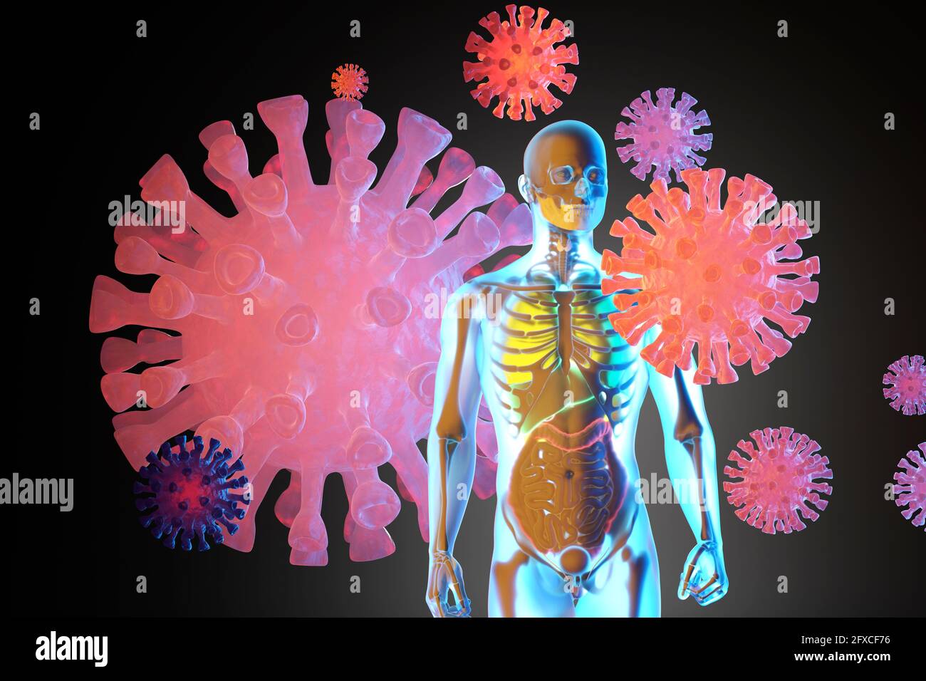Illustrazione 3D della visualizzazione dell'anatomia umana con scheletro e organi interni circondati da virus Foto Stock