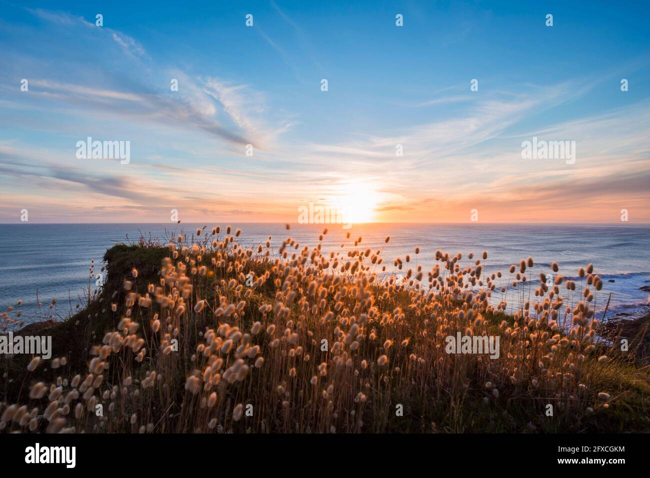 Tramonto sulla penisola di Mahia con una linea chiara di orizzonte overÂ Oceano Pacifico sullo sfondo Foto Stock