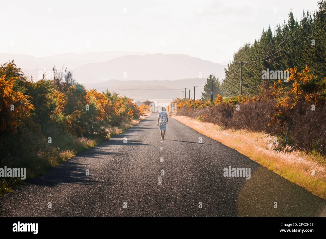 Nuova Zelanda, Isola del Nord, Rotorua, Vista posteriore del giovane uomo che cammina sulla strada in Bay of Plenty Foto Stock