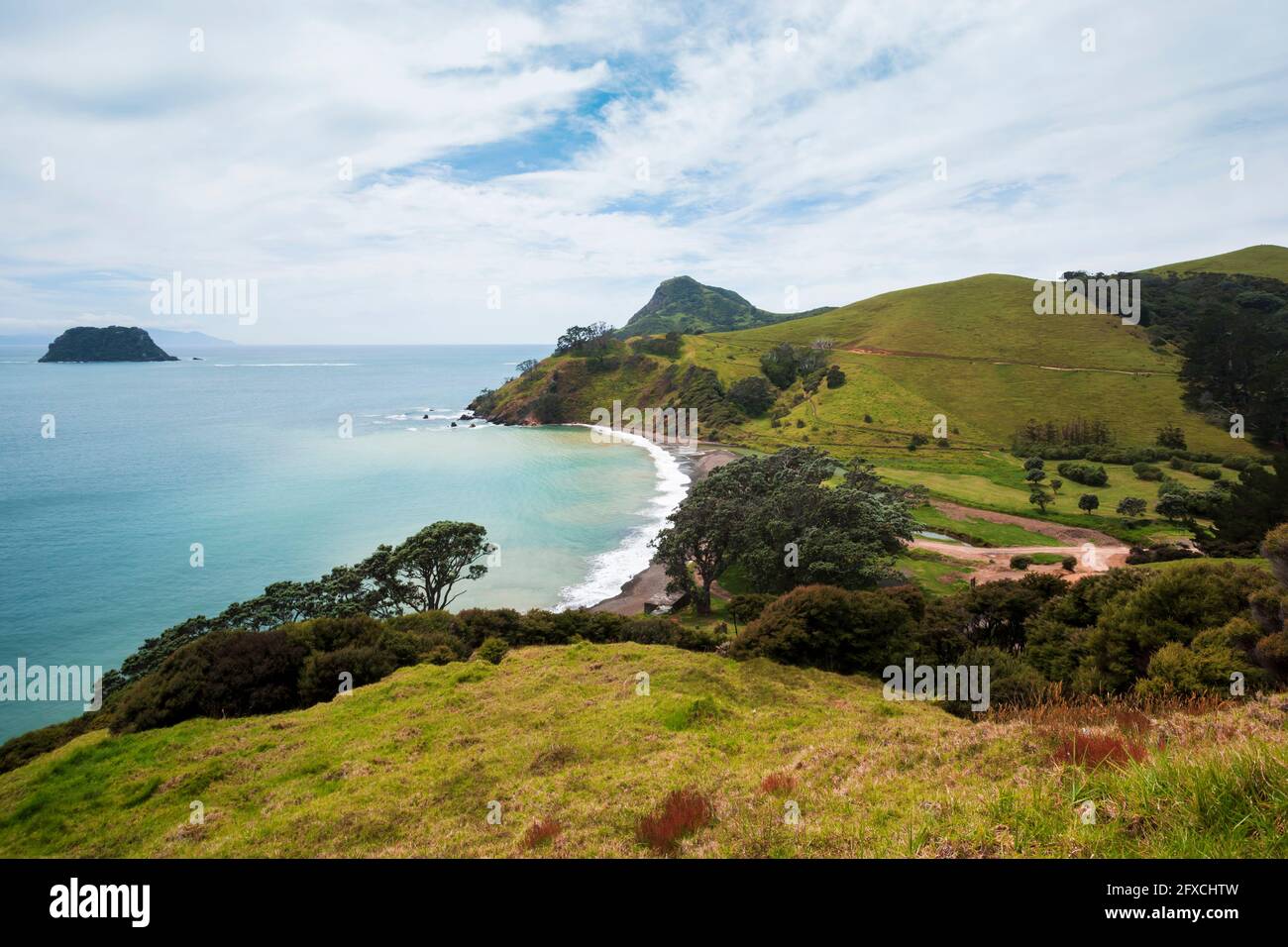 Costa della Penisola di ofÂ CoromandelÂ Foto Stock