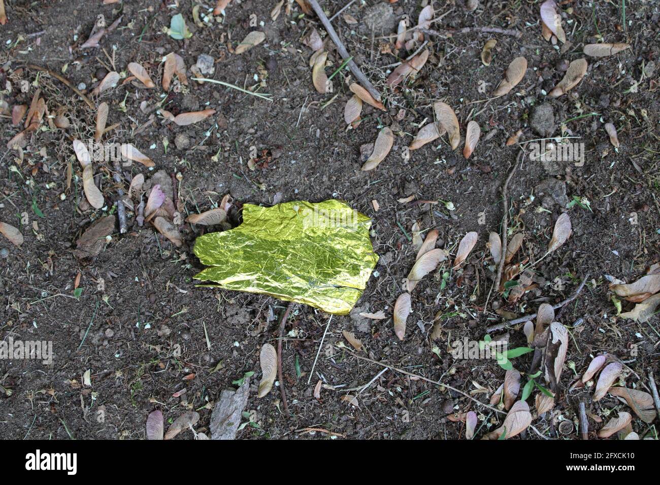 Un pezzo di lamina d'oro a terra Foto Stock