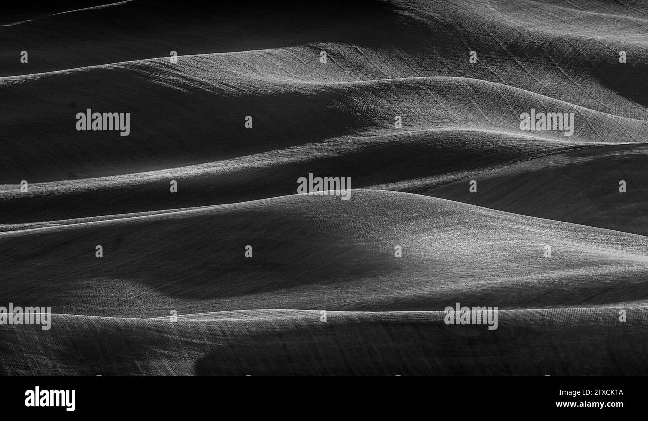Vista sulle splendide colline ondulate della fattoria con luci spettacolari Presente in bianco e nero Foto Stock