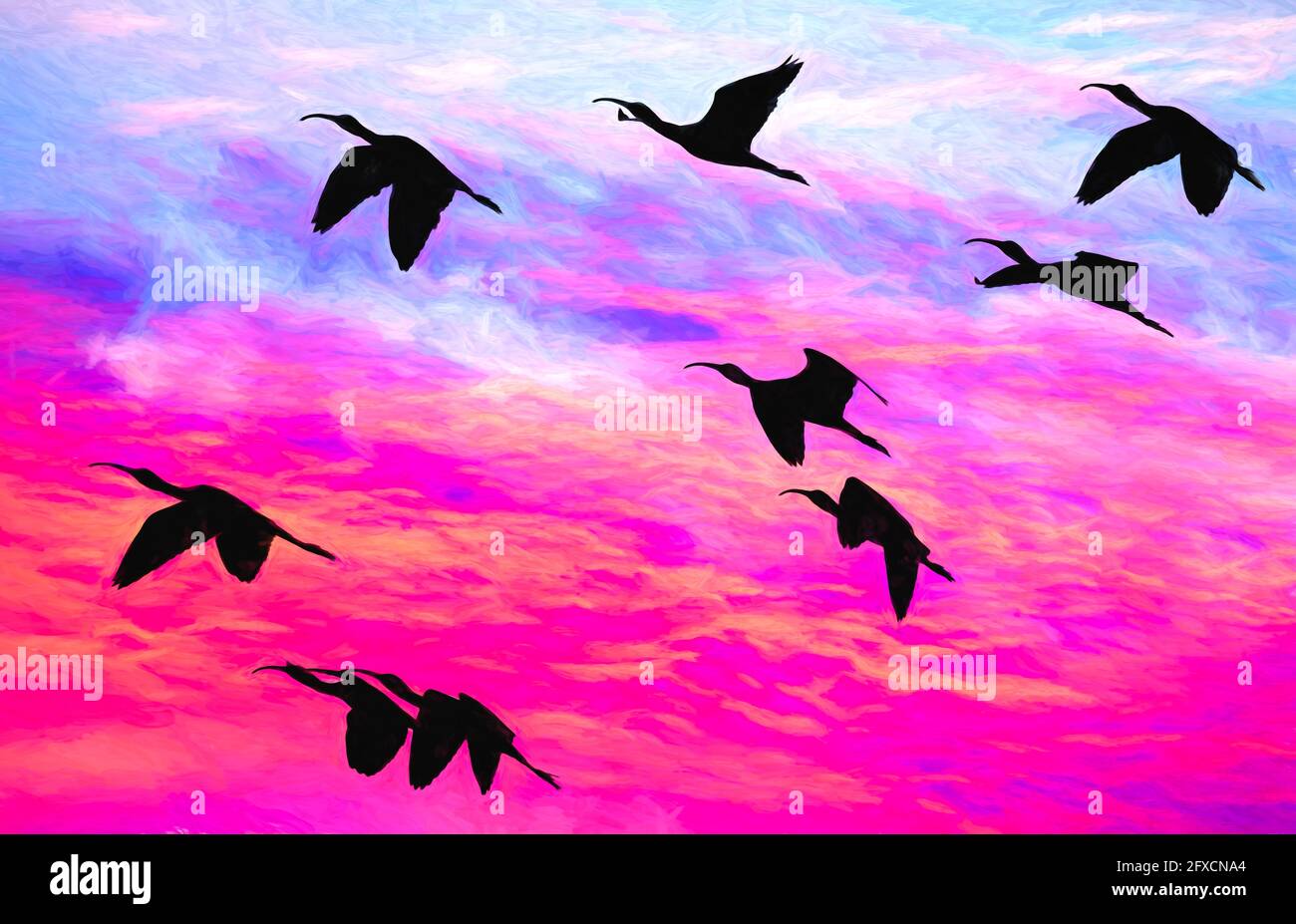 Un gregge di uccelli stanno volando con le ali si stagliano le silhouette Contro UN cielo Sunset vivace e colorato in Illustration Painting Format Foto Stock