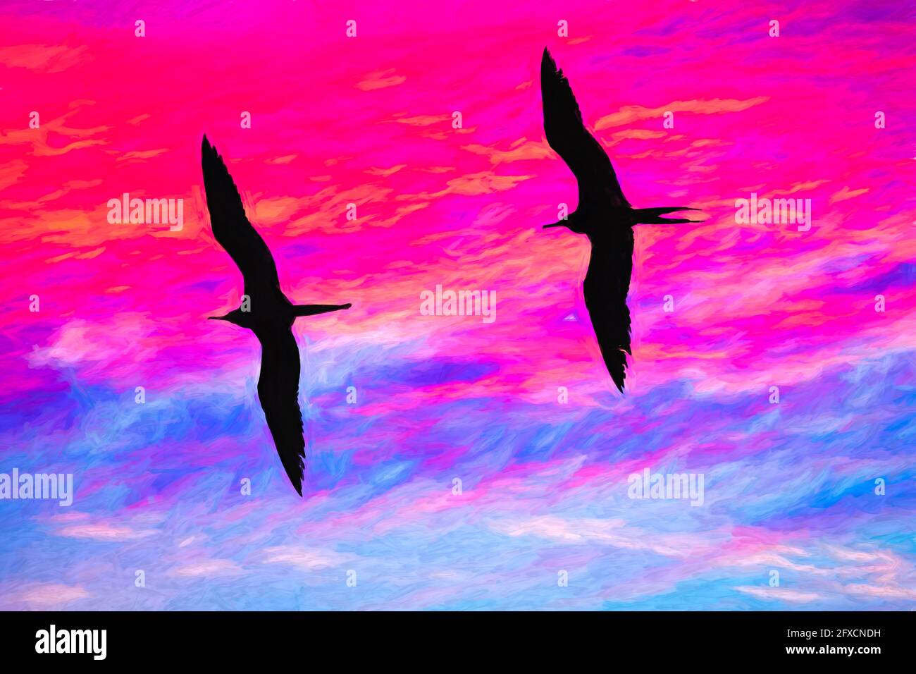 Due uccelli stanno volando con le ali che si stagliano contro UNA Cielo Sunset dai colori vivaci nel formato di pittura per illustrazioni Foto Stock