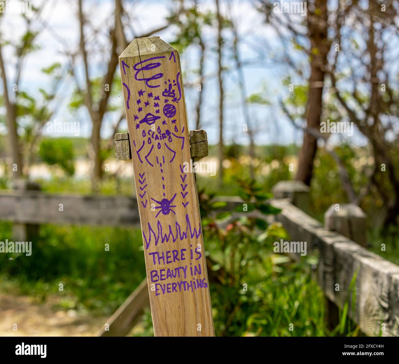 'C'è bellezza in tutto' scritto in viola con un'illustrazione su palo di legno in East Hampton, NY Foto Stock