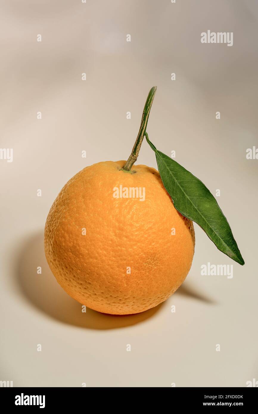 Benefici dell'arancia per la salute. Un solo arancione con una foglia su uno sfondo chiaro Foto Stock