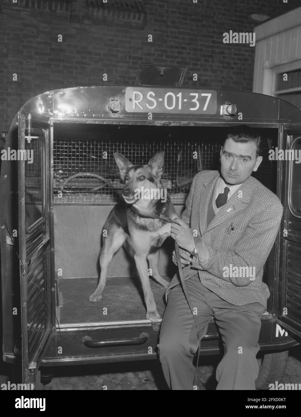 Conferenza stampa sulla rapina a Bankastraat presso la stazione di polizia di Linaeusstraat rilevamento cane Sres con il gestore di cani rilevamento di Stato S. Wagemaker, 10 marzo 1959, Paesi Bassi, 20 ° secolo agenzia stampa foto, notizie da ricordare, documentario, fotografia storica 1945-1990, storie visive, Storia umana del XX secolo, che cattura momenti nel tempo Foto Stock