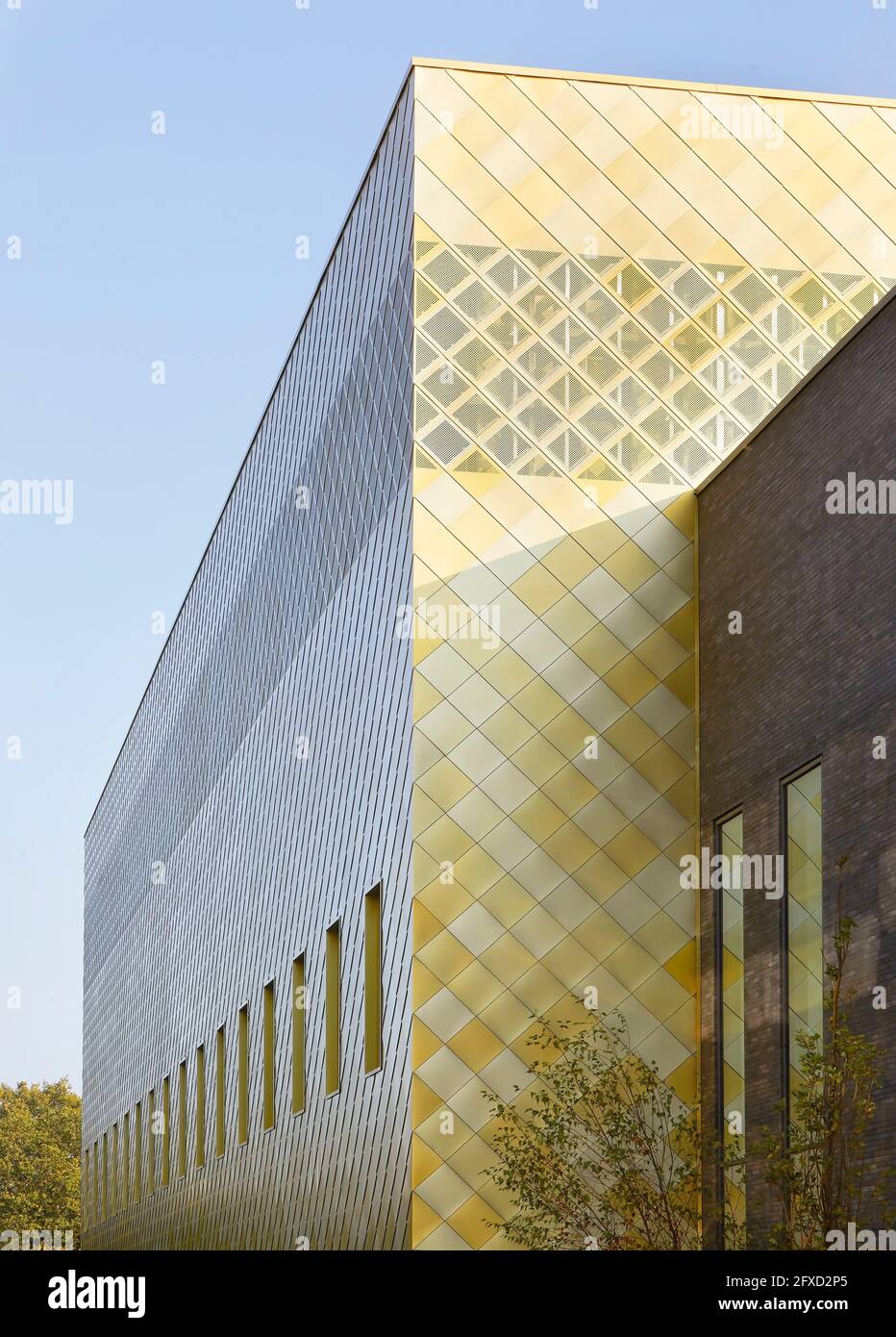 Dettaglio della facciata. Università di Birmingham, Collaborative Teaching Laboratory, Birmingham, Regno Unito. Architetto: Sheppard Robson, 2018. Foto Stock