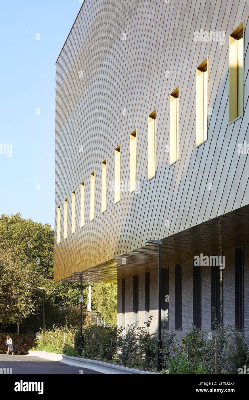 Prospettiva lungo la facciata. Università di Birmingham, Collaborative Teaching Laboratory, Birmingham, Regno Unito. Architetto: Sheppard Robson, 2018. Foto Stock