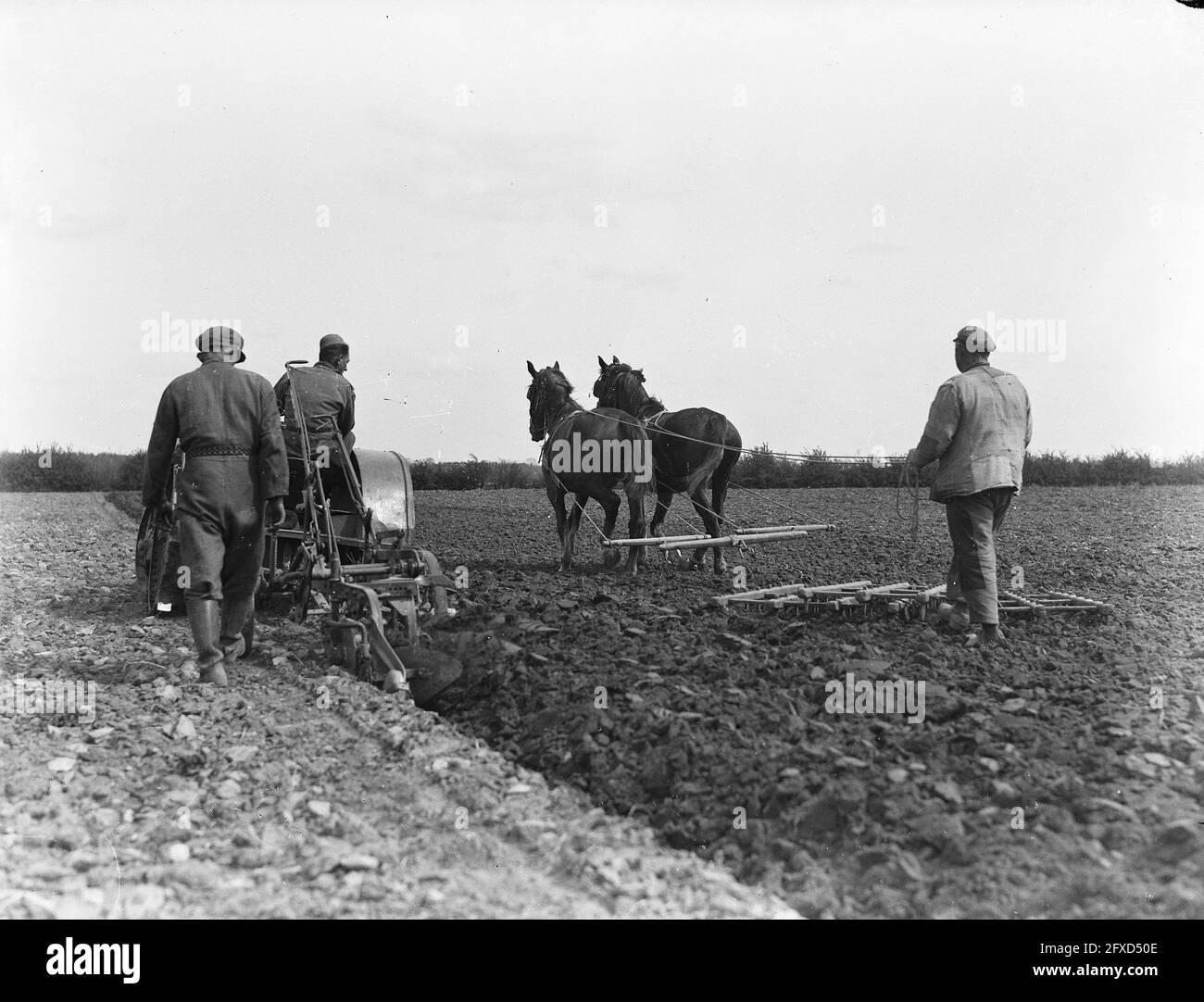 Aratura con tracker, 27 aprile 1946, PLOEGEN, Paesi Bassi, foto agenzia stampa del xx secolo, notizie da ricordare, documentario, fotografia storica 1945-1990, storie visive, Storia umana del XX secolo, che cattura momenti nel tempo Foto Stock