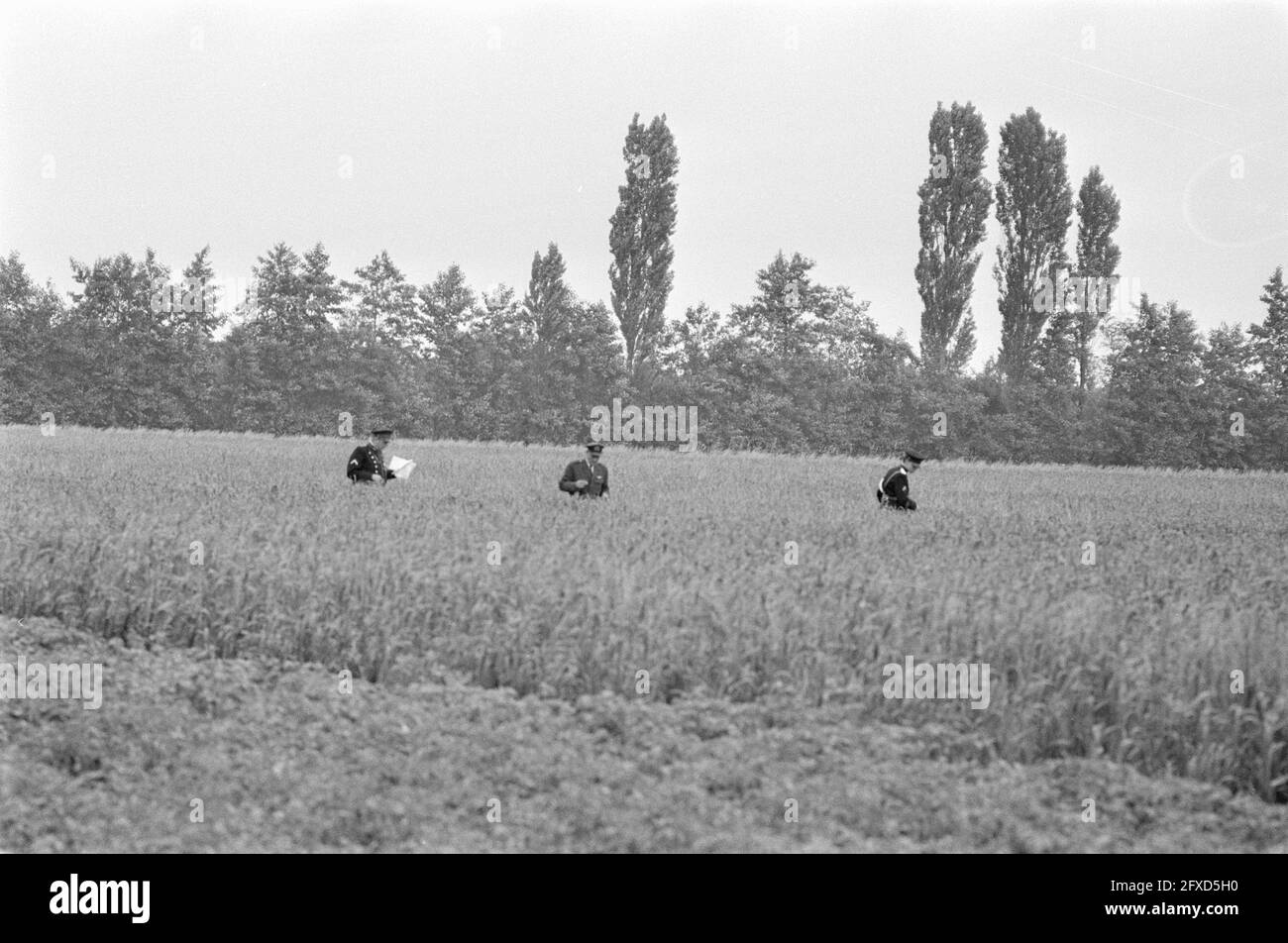 Gli agenti di polizia cercano un campo di mais per i resti del combattente a getto Phantom abbattuto, 21 giugno 1971, campi di mais, agenti di polizia, Aerei, relitto, Paesi Bassi, foto agenzia stampa del XX secolo, notizie da ricordare, documentario, fotografia storica 1945-1990, storie visive, Storia umana del XX secolo, che cattura momenti nel tempo Foto Stock