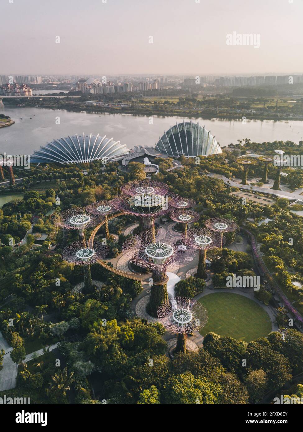 Vista aerea del boschetto di Supertree contro la foresta di nubi e la cupola dei fiori e il fiume Marina Bay a Singapore. Foto Stock