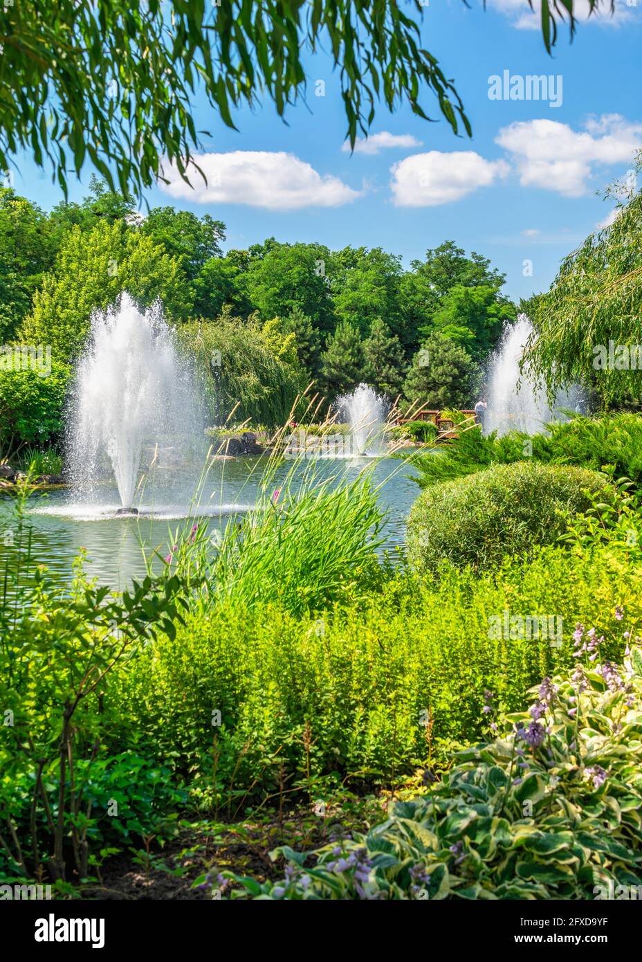 Parco pubblico della residenza Mezhyhirya a Kiev, Ucraina Foto Stock