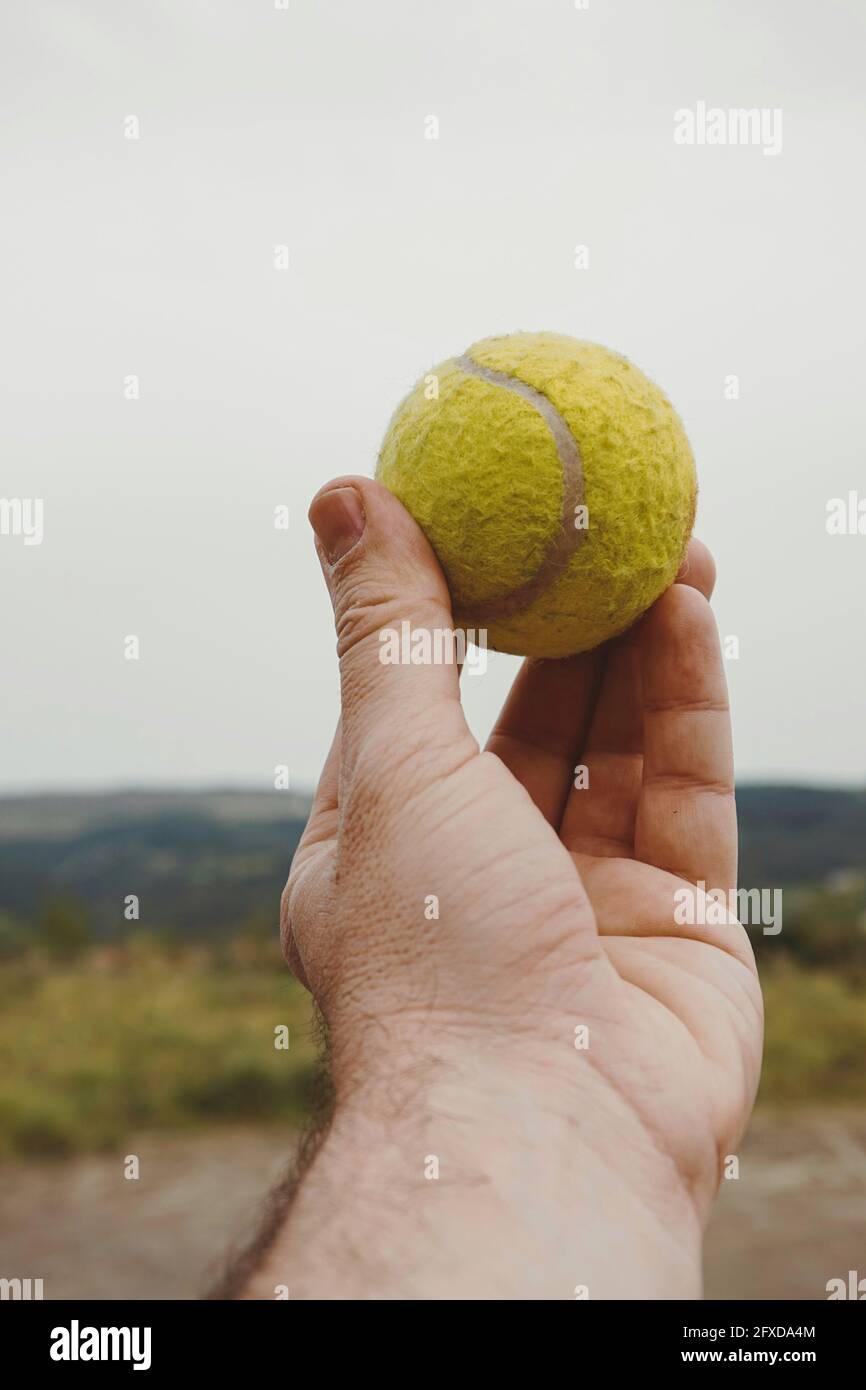 mano con una palla da tennis gialla Foto Stock