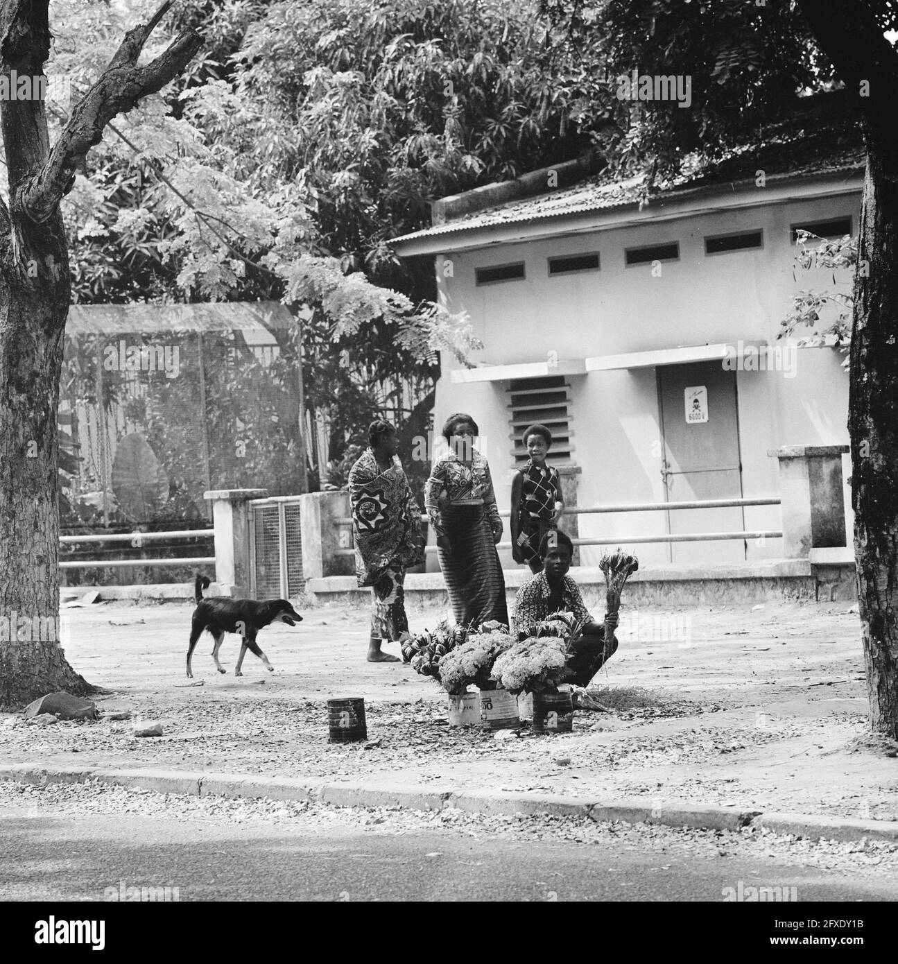 Scena di strada a Kinshasa; vendor di fiori, 24 ottobre 1973, fiori, Paesaggi urbani, commercio di strada, Paesi Bassi, foto agenzia stampa del XX secolo, notizie da ricordare, documentario, fotografia storica 1945-1990, storie visive, Storia umana del XX secolo, che cattura momenti nel tempo Foto Stock