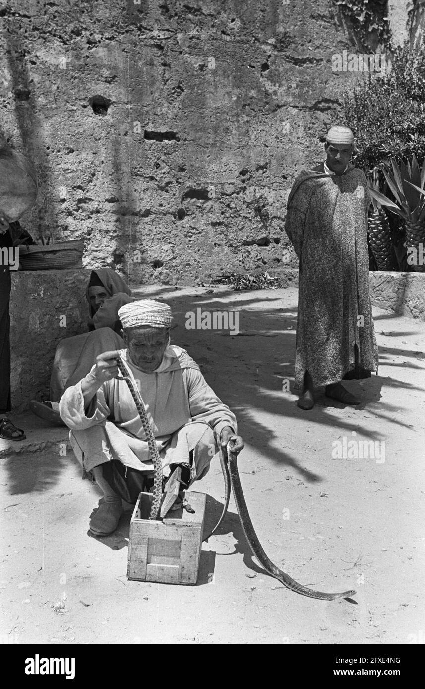 Tangeri (Marocco). Snake Charmer, 9 agosto 1967, Snake Chargers, Paesi Bassi, foto agenzia stampa del xx secolo, notizie da ricordare, documentario, fotografia storica 1945-1990, storie visive, Storia umana del XX secolo, che cattura momenti nel tempo Foto Stock