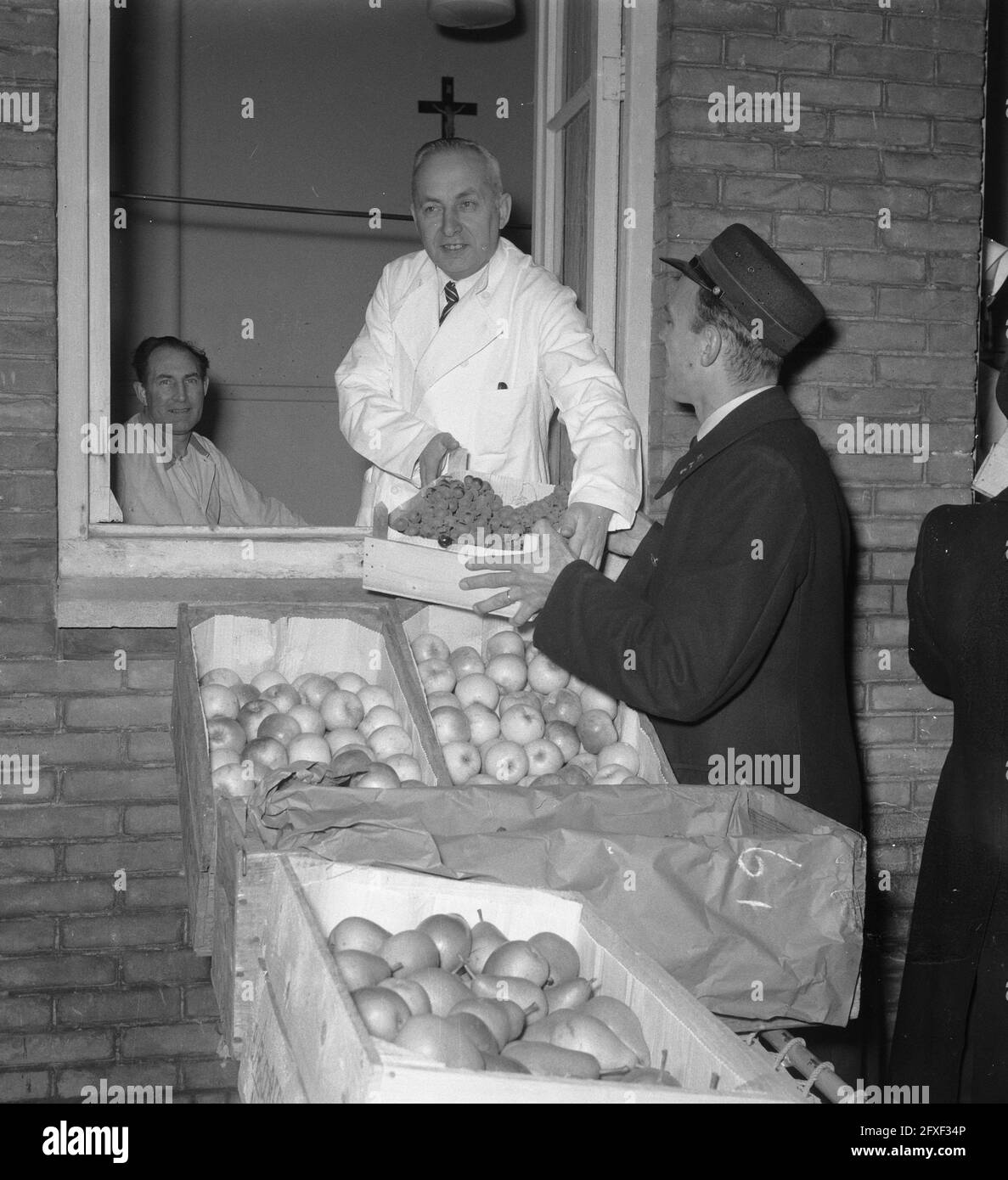 I conduttori della Streetcar portano frutti al Padiglione Maria, 1 novembre 1952, FRUTTA, conduttori della Streetcar, I Paesi Bassi, foto agenzia stampa del XX secolo, notizie da ricordare, documentario, fotografia storica 1945-1990, storie visive, Storia umana del XX secolo, che cattura momenti nel tempo Foto Stock