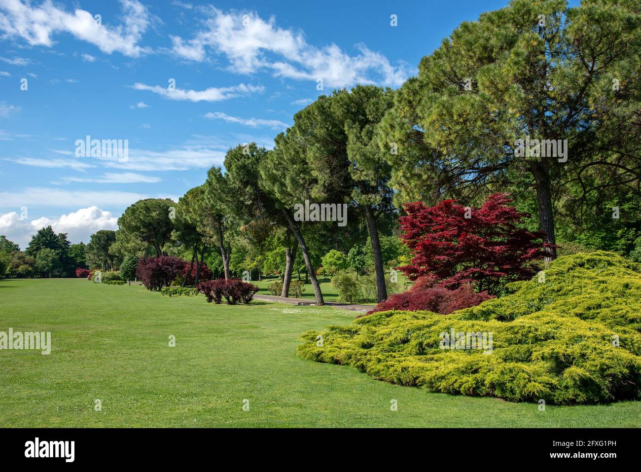 Lussureggiante parco di primavera verde con passerelle alberate e arbusti ornamentali con fogliame colorato che confina con un prato ben curato in un paesaggio panoramico un Foto Stock