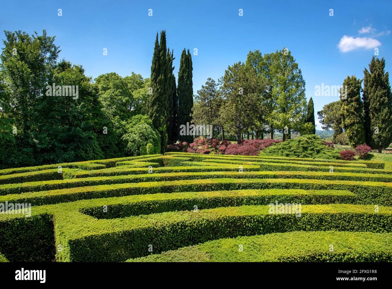 Formale Box o buxus siepe labirinto in un giardino o. parco guardando attraverso i sentieri del labirinto a distanza alberi sotto un cielo blu soleggiato Foto Stock