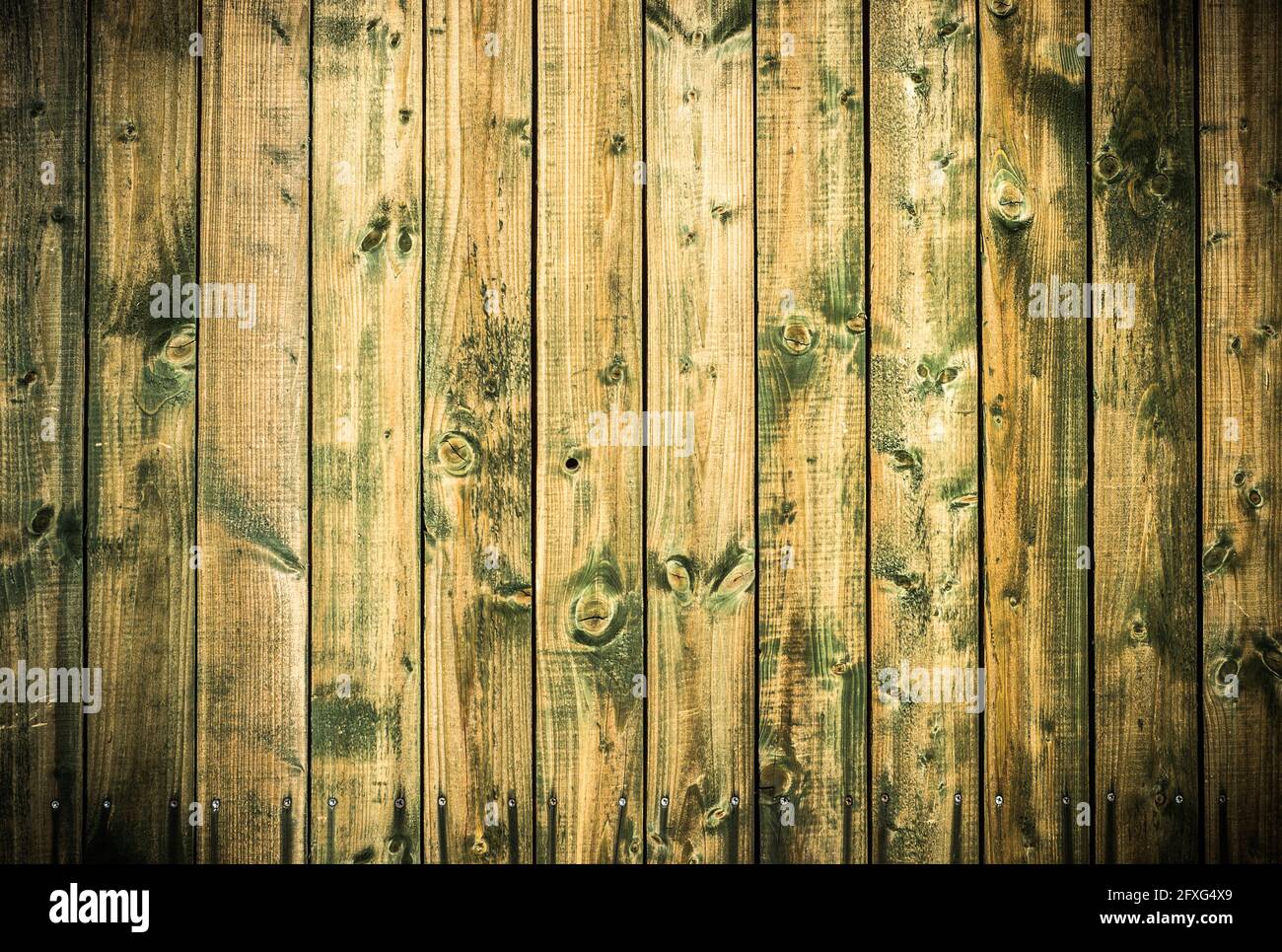 Struttura di sfondo in legno. Vecchie tavole di legno texture sfondo con vignette. Foto Stock