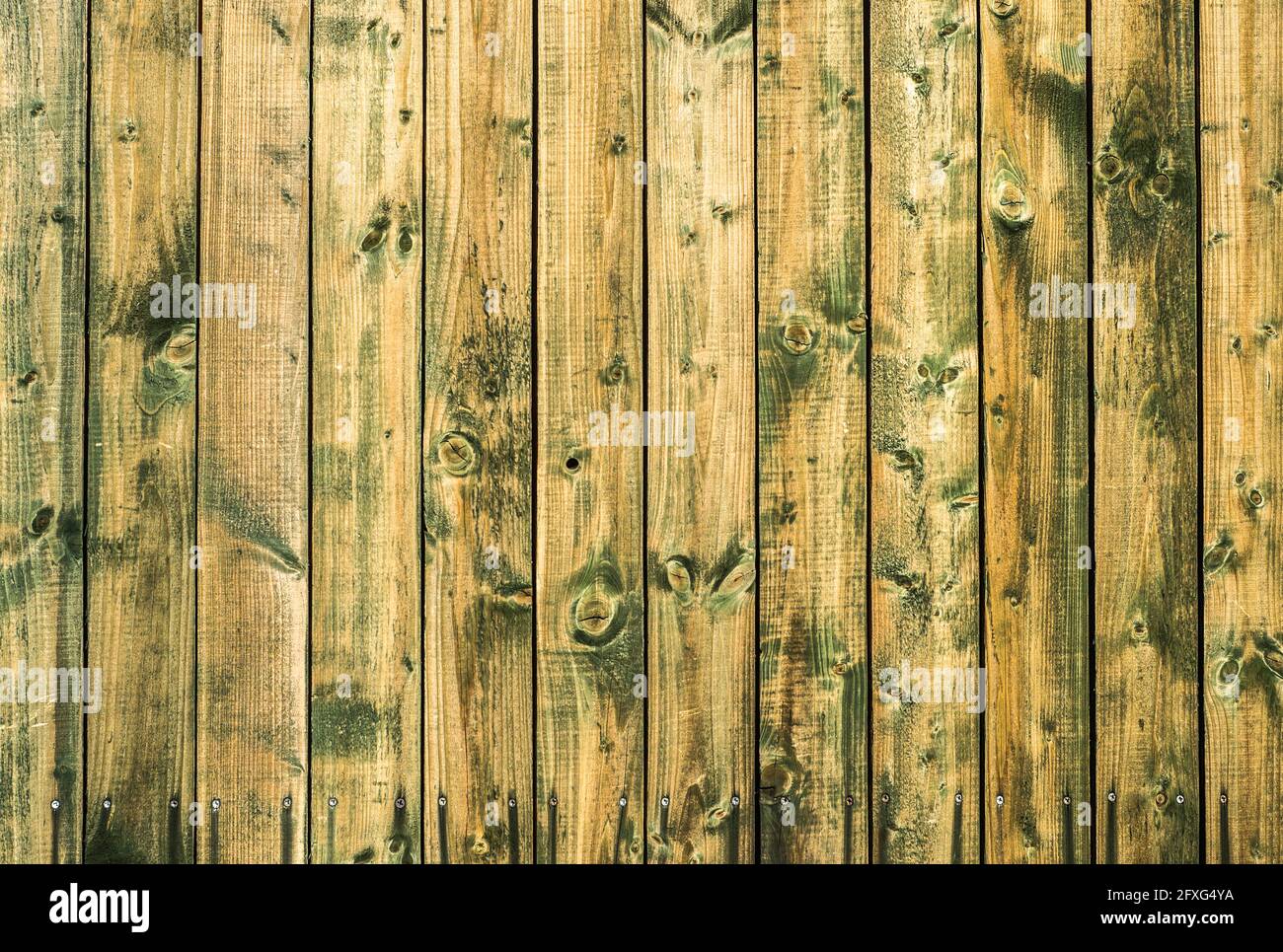 Struttura di sfondo in legno. Vecchie tavole di legno trama sfondo. Foto Stock