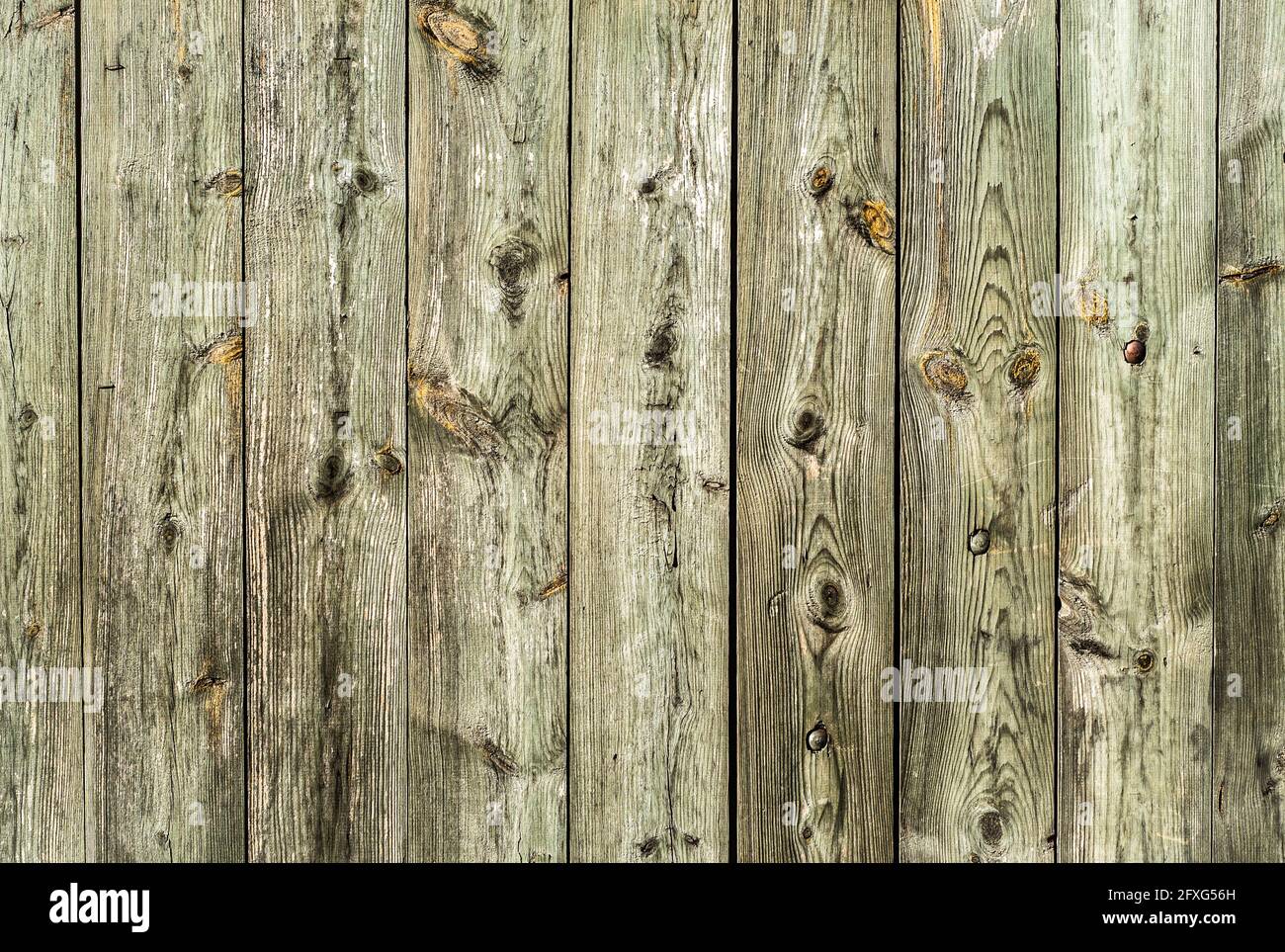 Sfondo di tessitura di legno. Vecchie tavole di legno trama sfondo. Foto Stock