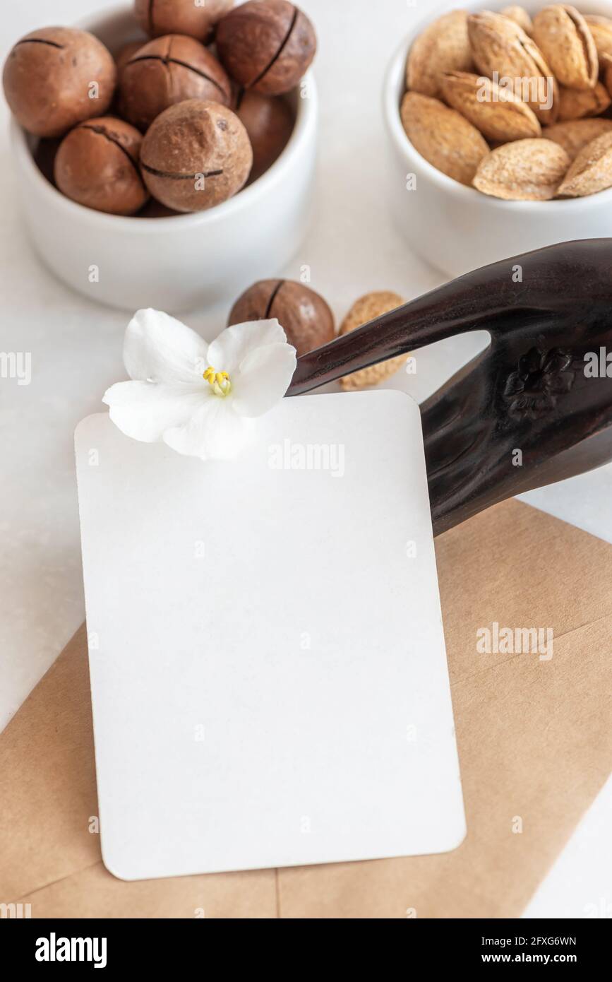 Biglietto da visita con spazio per il design e fiori vicino a noci Foto Stock