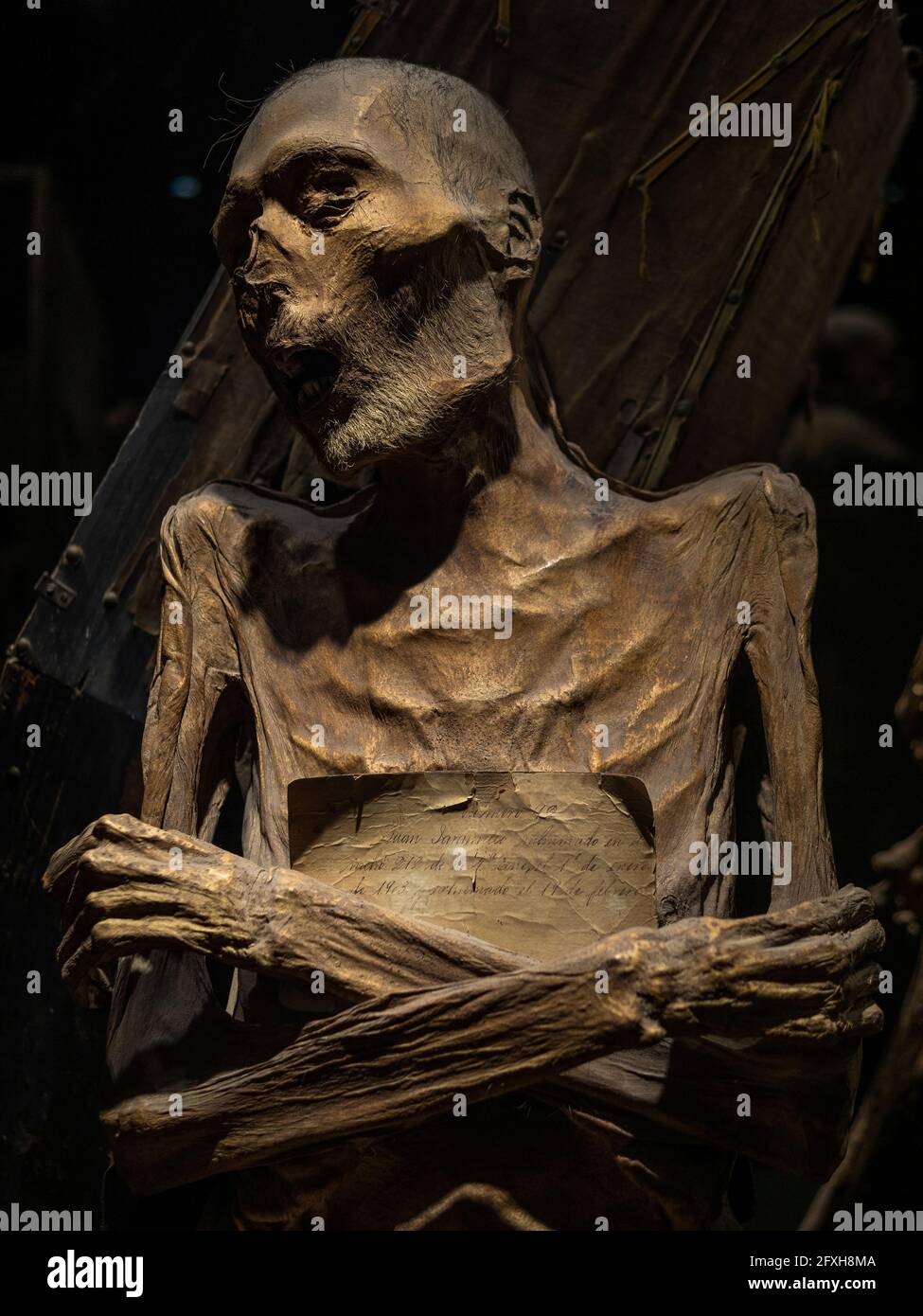 Corpo mummificato al Museo delle Mummie di Guanajuato, la più grande collezione di mummie naturali del mondo, nella città di Guanajuato, Messico. Foto Stock