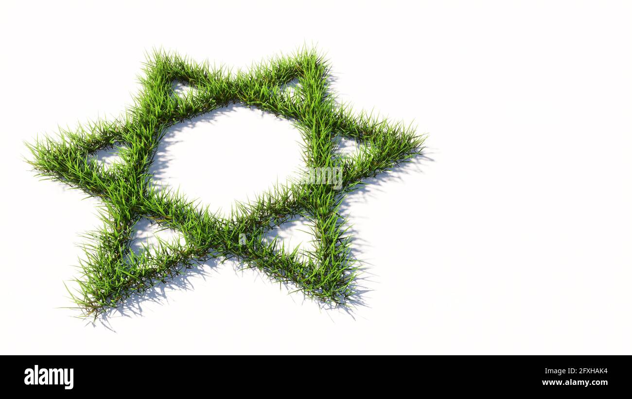 Concetto o concettuale verde estate prato erba isolato su sfondo bianco, segno della stella religiosa ebraico David. Metafora dell'illustrazione 3d per il giudaismo Foto Stock