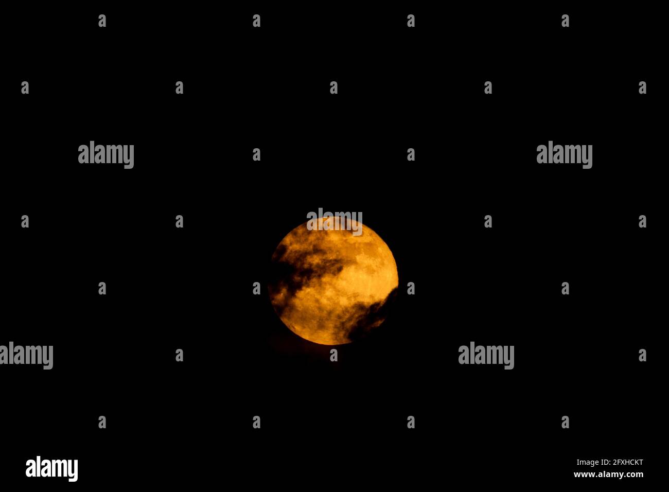La Luna Nuova gialla sorge dietro le nuvole. Sangue luna. Luna di fiori. Eclissi lunare. Concetto astronomico. Foto Stock