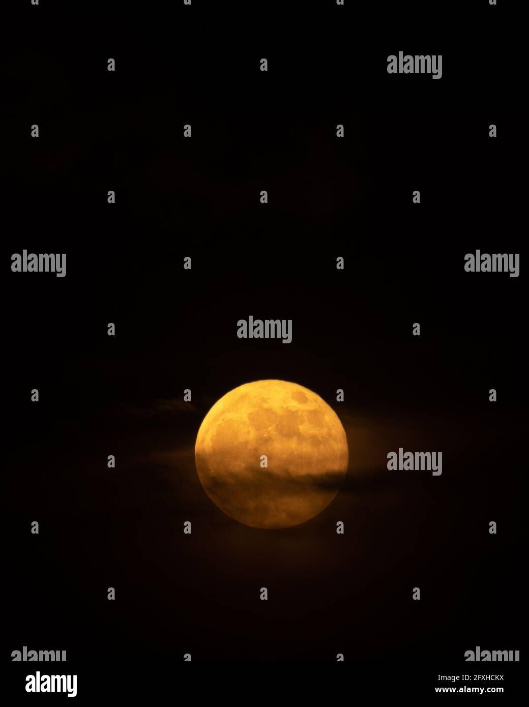 La Luna Nuova gialla sorge dietro le nuvole. Sangue luna. Luna di fiori. Eclissi lunare. Concetto astronomico. Foto Stock