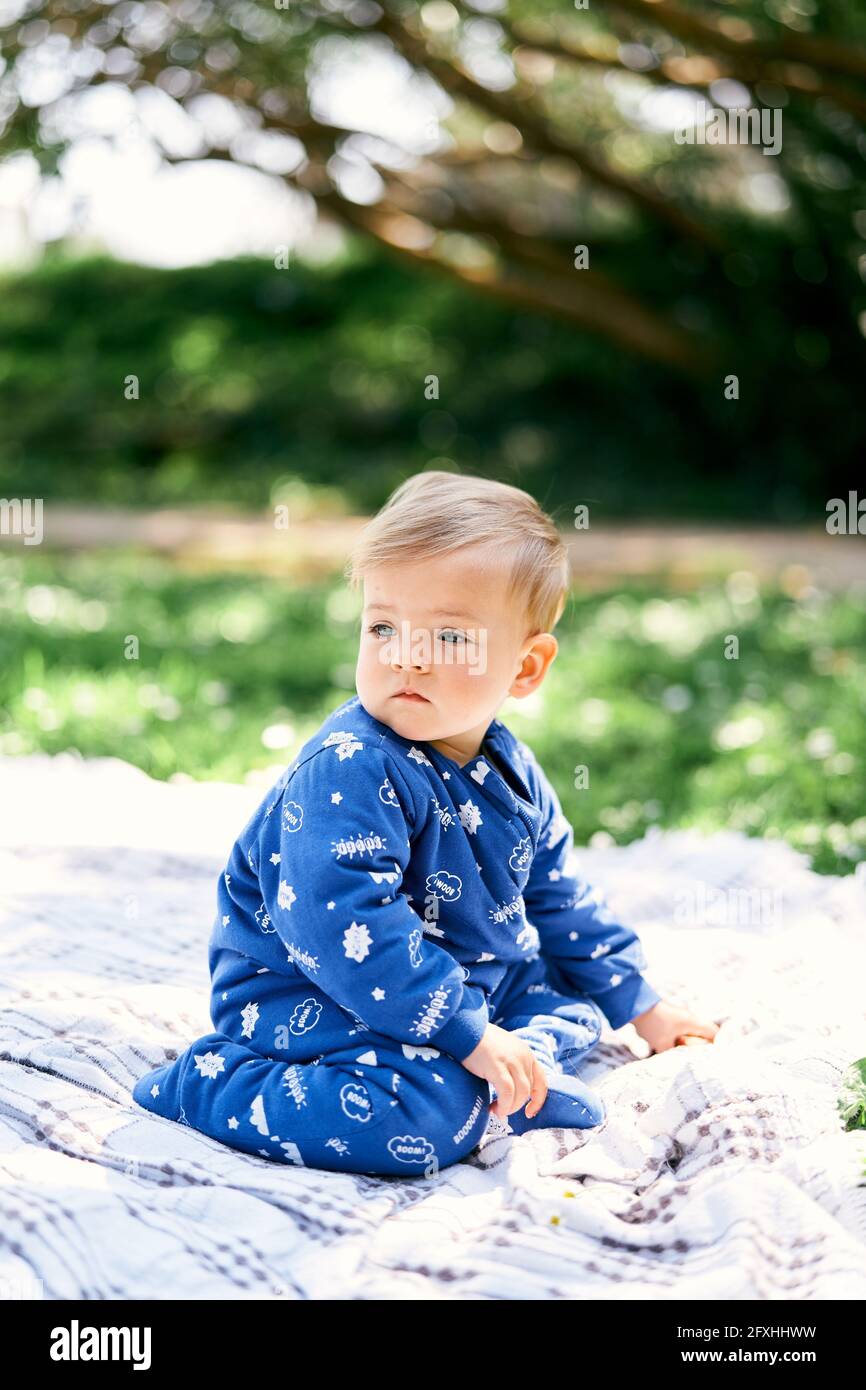 Il bambino in una tuta blu si siede sulle ginocchia con la testa girata su  una coperta a scacchi su un prato verde Foto stock - Alamy