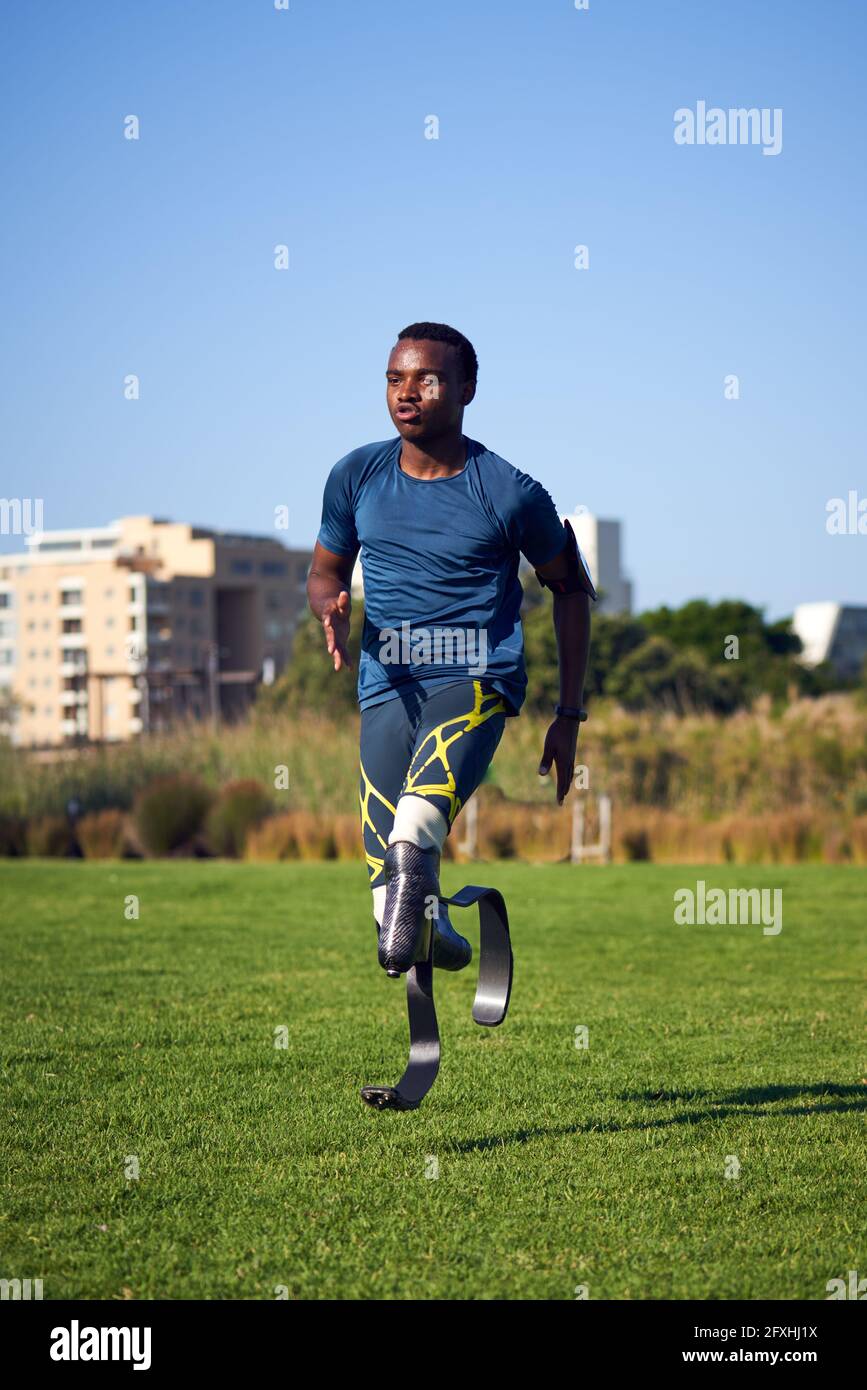 Concentrato giovane amputato maschio sprinter praticando in erba soleggiato Foto Stock