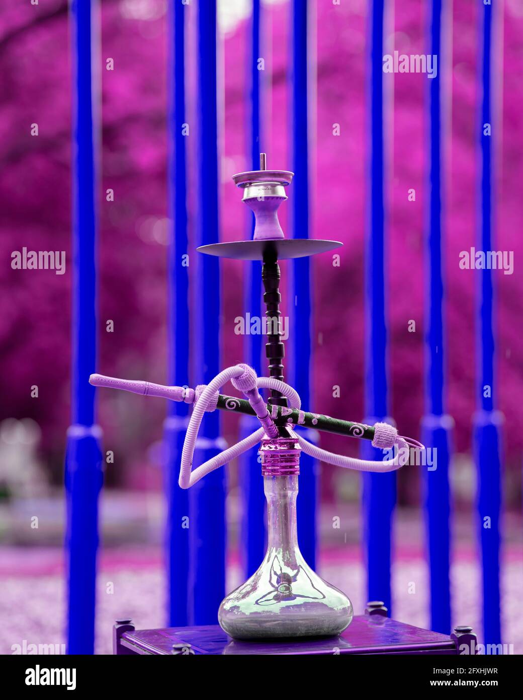 La testa di un hookah, tubo di acqua o shisha con carbone incandescente nel giardino in estate sole Germania, testa, tubo di acqua, fumo, arabesco Foto Stock