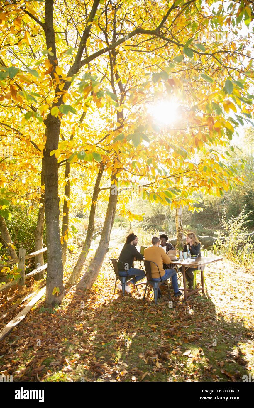 Uomini d'affari che lavorano al tavolo in un parco autunnale idilliaco e soleggiato Foto Stock