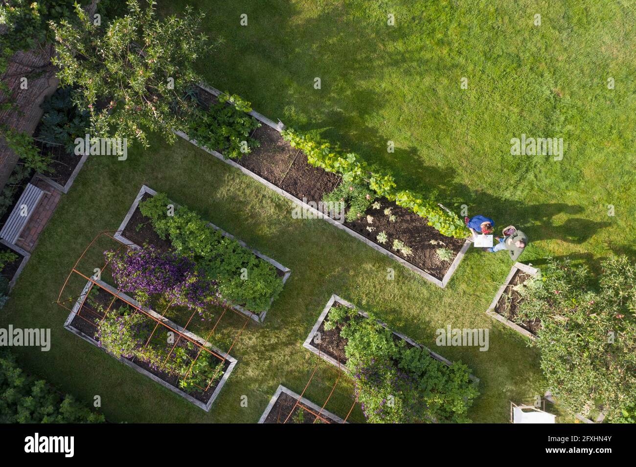 Vista dall'alto in un lussureggiante giardino di verdure con letti rialzati Foto Stock