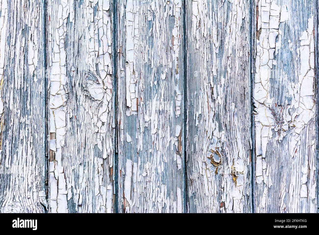 Tessitura di legno bianco, sfondo di legno vecchio buccia di vernice sfaldante Foto Stock