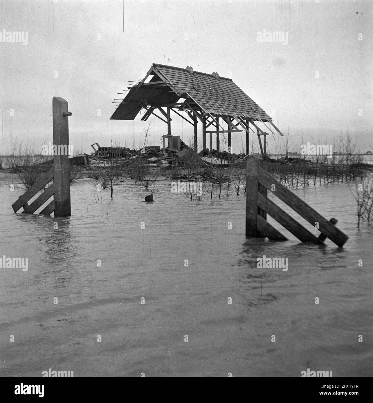 Wieringermeerpolder, 8 dicembre 1945, Paesi Bassi, foto agenzia stampa del XX secolo, notizie da ricordare, documentario, fotografia storica 1945-1990, storie visive, Storia umana del XX secolo, che cattura momenti nel tempo Foto Stock