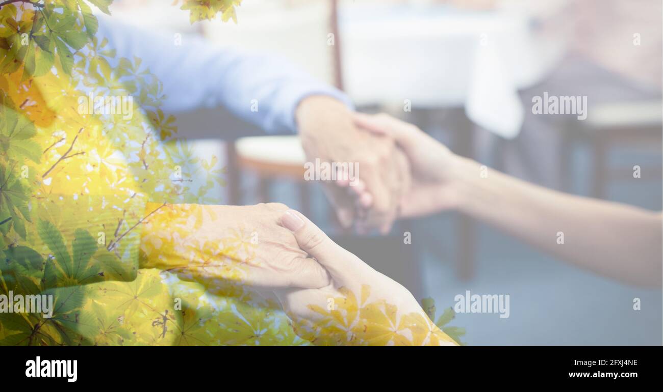 Composizione della sezione centrale della donna caucasica anziana che tiene le mani con giovane donna con sovrapposizione di alberi Foto Stock