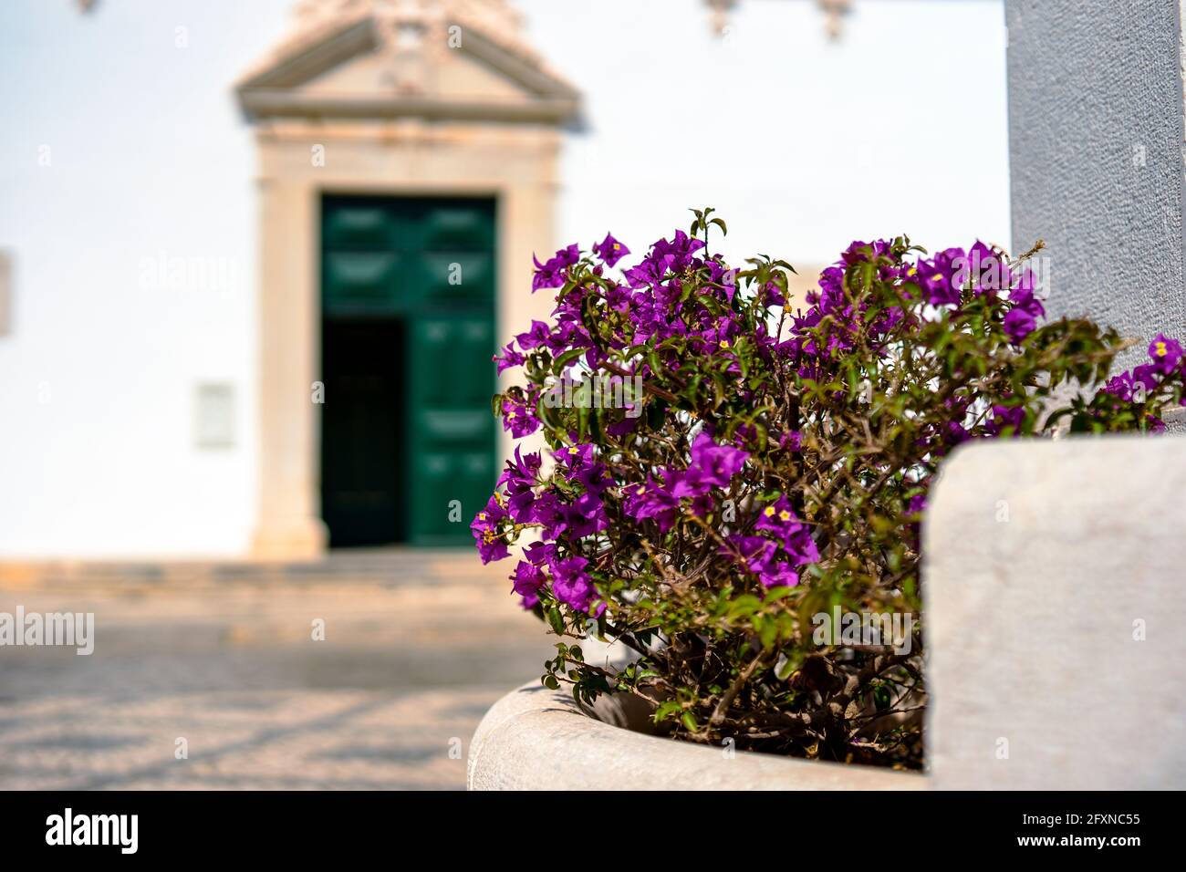 Fiori in fiore con architettura portoghese come sfondo con copia spazio Foto Stock