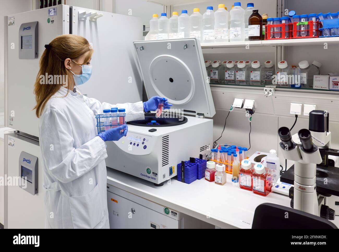 Bonn, Nord Reno-Westfalia, Germania - Ricerca nel campo dell'immunologia e dell'infettologia presso il Centro Biomedico II dell'Ospedale Universitario Bon Foto Stock