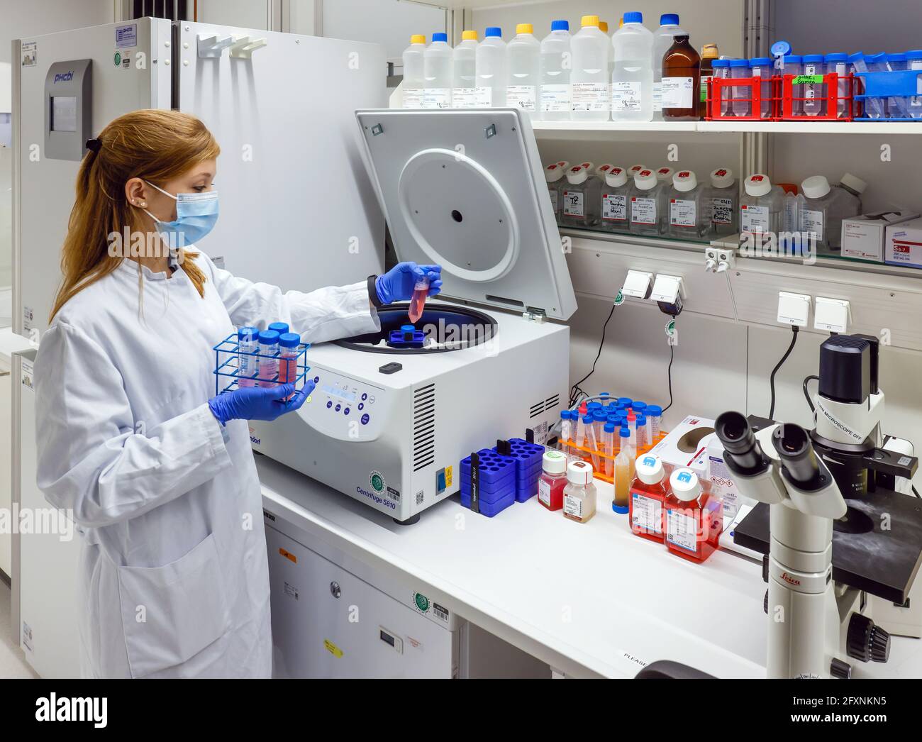 Bonn, Nord Reno-Westfalia, Germania - Ricerca nel campo dell'immunologia e dell'infettologia presso il Centro Biomedico II dell'Ospedale Universitario Bon Foto Stock