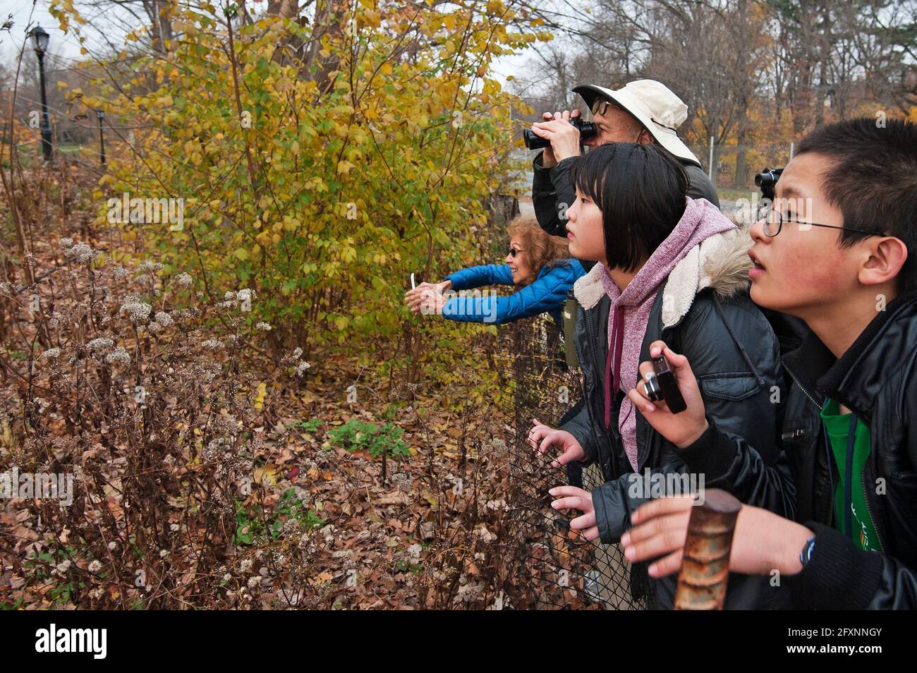 Scolari e adulti in cerca di un raro bunting dipinto al Prospect Park, Brooklyn New York Foto Stock
