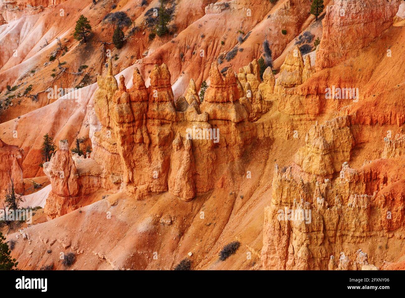 Hoodoos del Bryce Canyon National Park, Utah, Stati Uniti Foto Stock