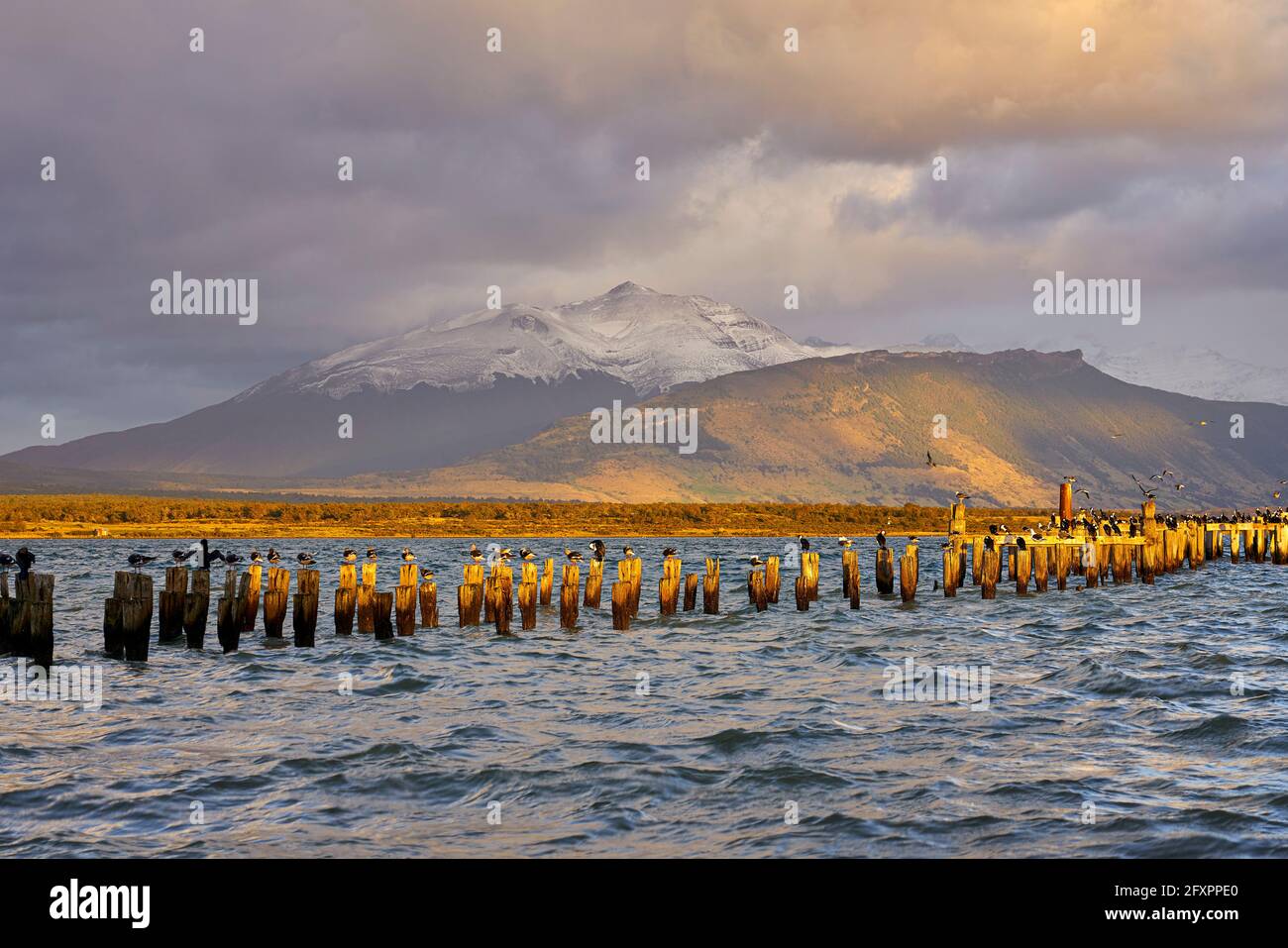 Molo all'alba, Puerto Natales, Parco Nazionale Torres del Paine, Provincia di ultima Esperanza, Cile Foto Stock