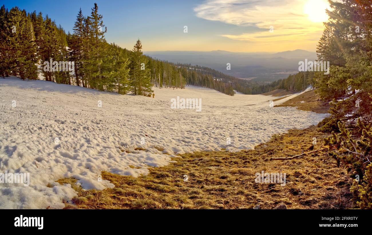 Le pendici dell'Arizona Snow Bowl si affacciano a ovest, vicino al tramonto, Coconino National Forest vicino a Flagstaff, Arizona, USA, Nord America Foto Stock